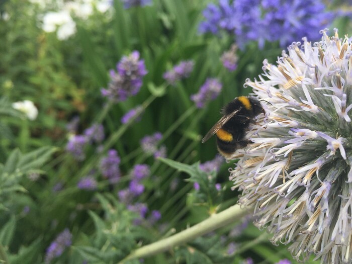 Testimonial Background