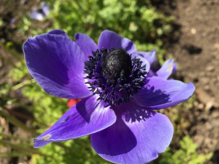 Testimonial Background