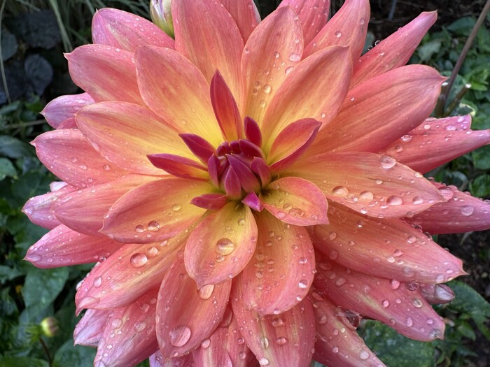 Testimonial Background