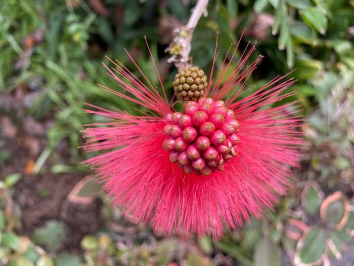 Testimonial Background